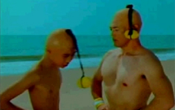 Lemonheads