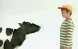 TalkingCow